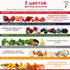 С 13 по 19 февраля Минздрав России проводит Неделю популяризации потребления овощей и фруктов